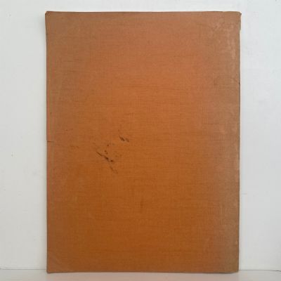 A WEIRD REGION: Eruption of Mt. Tarawera in 1886