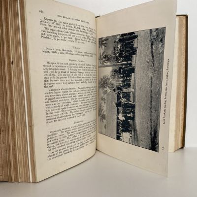 The New Zealand Official Year-Book 1902
