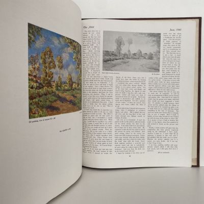 THE ARTIST: Volume 19 / Number 5