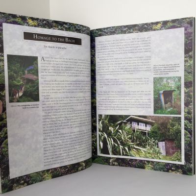 UNTAMED COAST: Auckland's Waitakere Ranges and West Coast Beaches