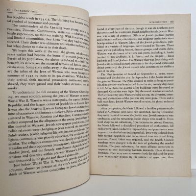 RESISTANCE: The Warsaw Ghetto Uprising
