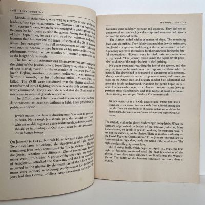 RESISTANCE: The Warsaw Ghetto Uprising