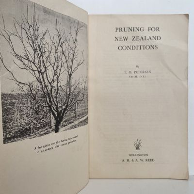 PRUNING for New Zealand Conditions
