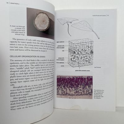 BOTANY FOR GARDENERS