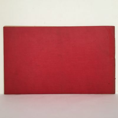 THE RHINE: Pictorial Record