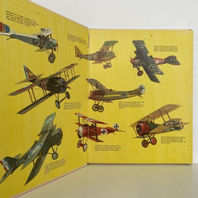 PILOTS OF WORLDWAR 1