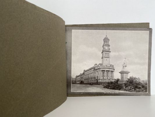 BEAUTIFUL AUCKLAND as seen through the camera
