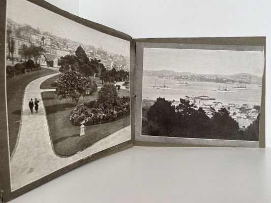 BEAUTIFUL AUCKLAND as seen through the camera