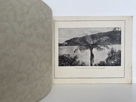 ROTORUA and THERMAL AREAS: Views of Scenic Beauty