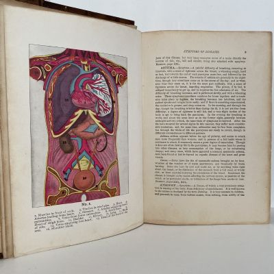 Dr. Chase's third last and complete RECEIPT BOOK and HOUSEHOLD PHYSICIAN
