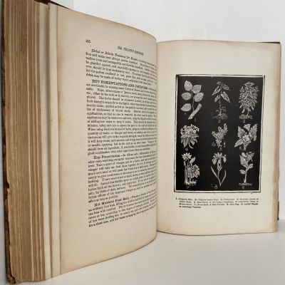Dr. Chase's third last and complete RECEIPT BOOK and HOUSEHOLD PHYSICIAN