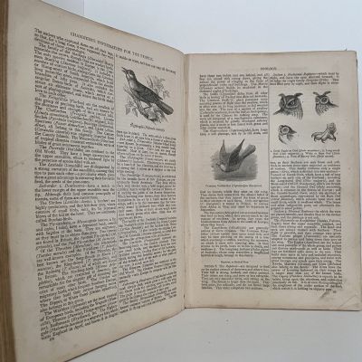 CHAMBER'S INFORMATION for the PEOPLE 5th Edition, Volume 1.
