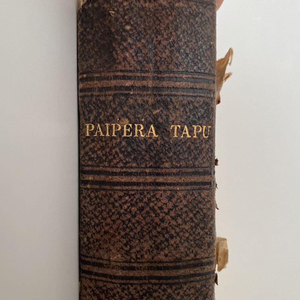 Ko Te PAIPERA TAPU: The Holy Bible in Te Reo Maori