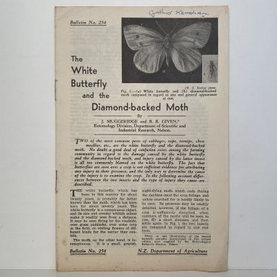 The White Butterfly and the Diamond-backed Moth: Bulletin No. 254