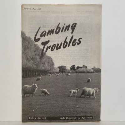 LAMBING TROUBLES: Sound Husbandry to Keep the Ewe and Lamb Healthy: Bulletin No. 348