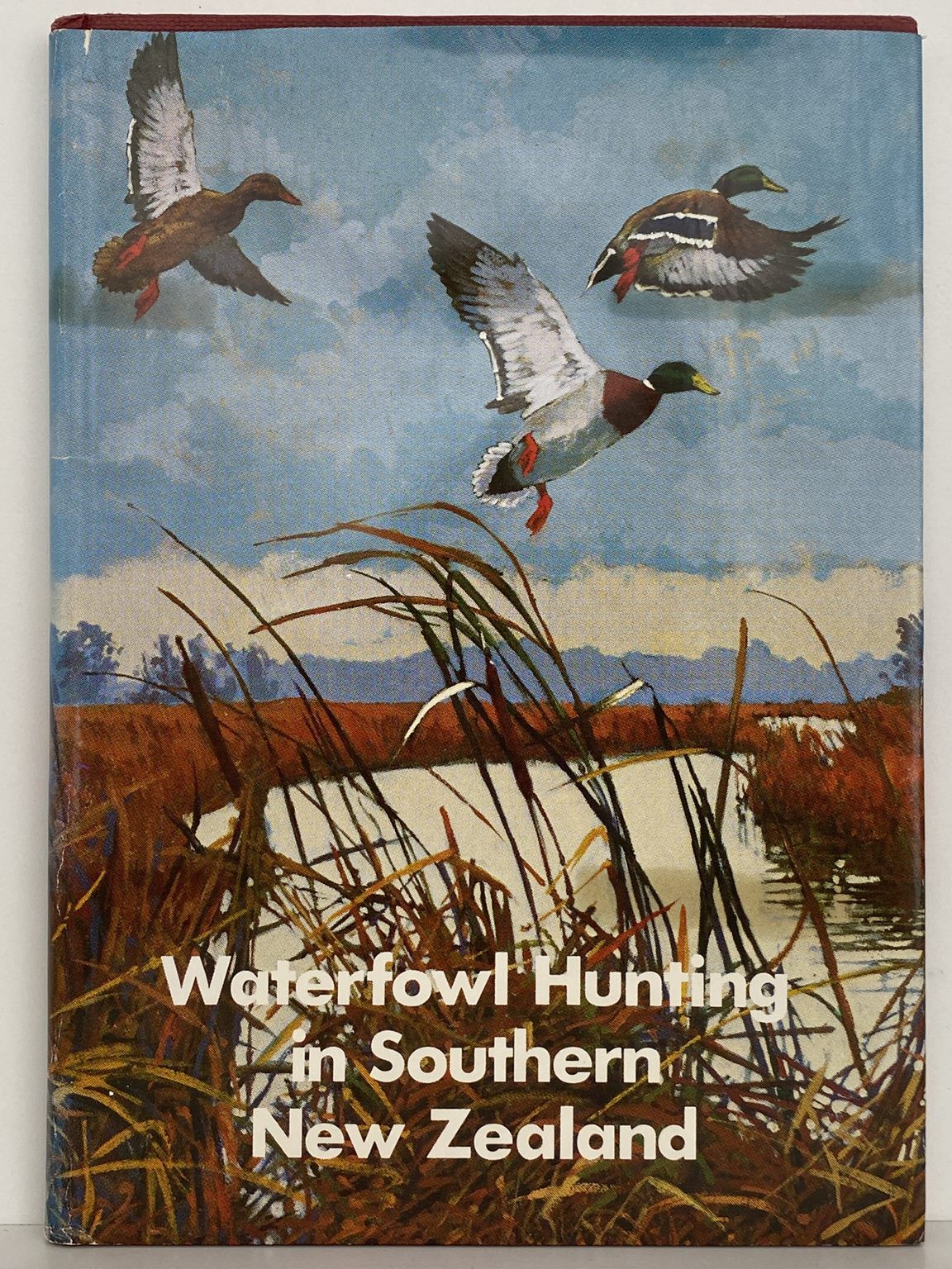 Waterfowl Hunting in Southern New Zealand