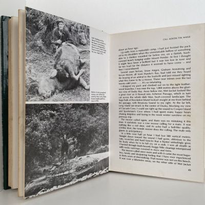 CALL OF THE MOOSE and other Fiordland Hunting Adventures