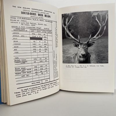 BIG GAME HUNTING IN NEW ZEALAND