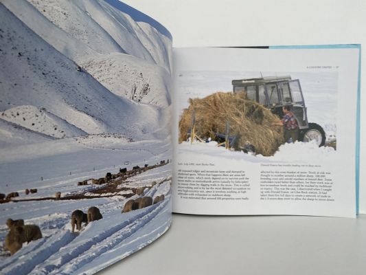 STATION COUNTRY: Back-country life in New Zealand