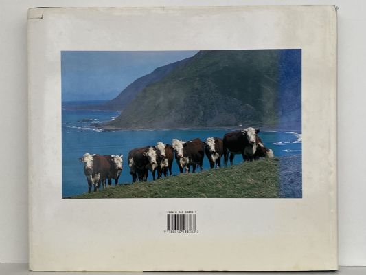 STATION COUNTRY: Returning to New Zealand back country