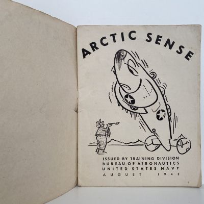 ARCTIC SENSE