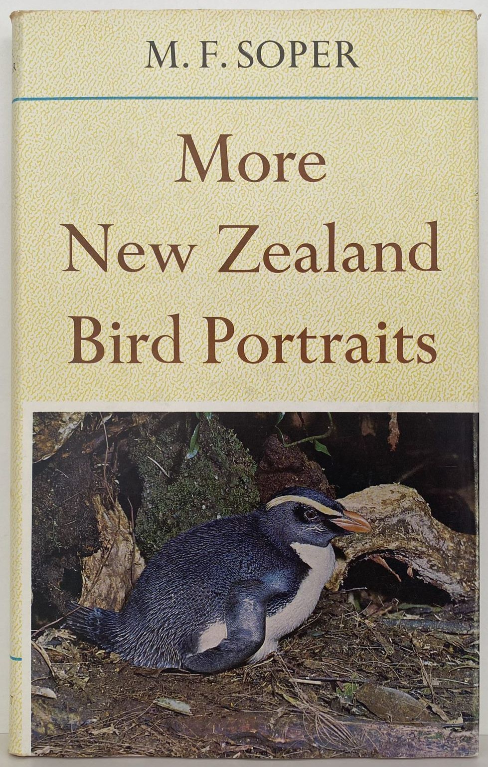 More New Zealand Bird Portraits