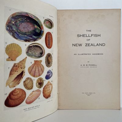 THE SHELLFISH OF NEW ZEALAND: An Illustrated Handbook