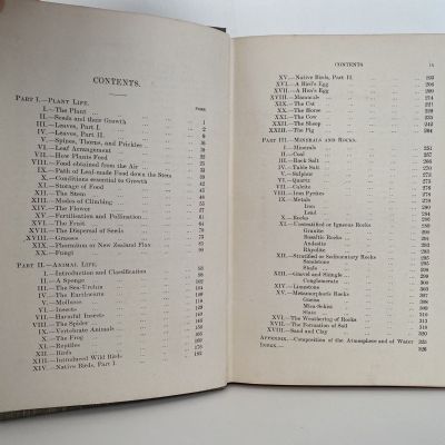THE NEW ZEALAND NATURE STUDY BOOK