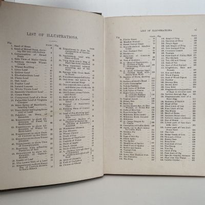 THE NEW ZEALAND NATURE STUDY BOOK
