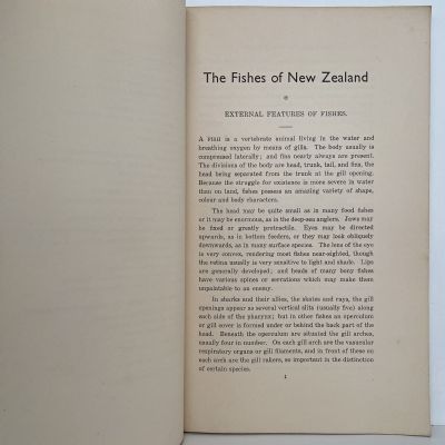 THE FISHES OF NEW ZEALAND