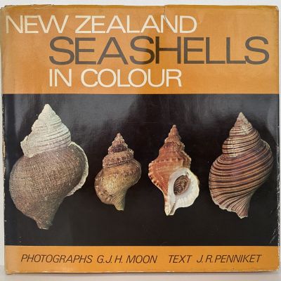 NEW ZEALAND SEASHELLS in Colour
