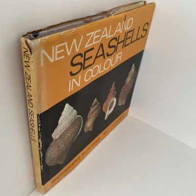 NEW ZEALAND SEASHELLS in Colour