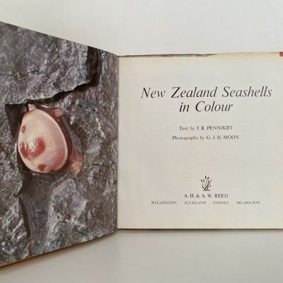 NEW ZEALAND SEASHELLS in Colour