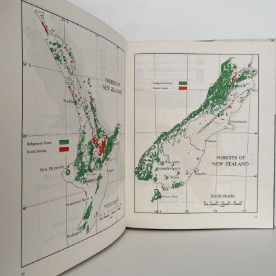 NEW ZEALAND FORESTRY