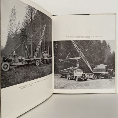NEW ZEALAND FORESTRY
