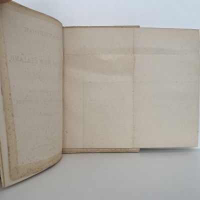 HANDBOOK of the FISHES of NEW ZEALAND