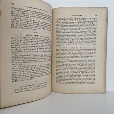 HANDBOOK of the FISHES of NEW ZEALAND