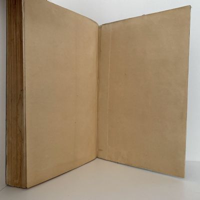HANDBOOK of the FISHES of NEW ZEALAND