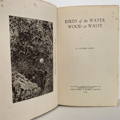 BIRD of the WATER, WOOD & WATSE
