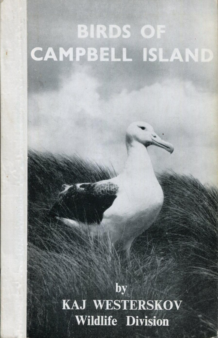 BIRD ISLANDS OF CAMPBELL ISLANDS