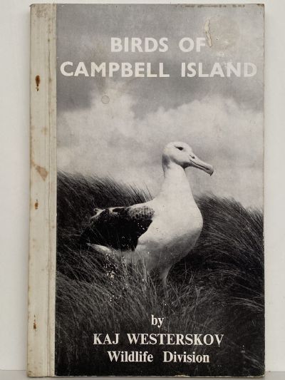 BIRD ISLANDS OF CAMPBELL ISLANDS