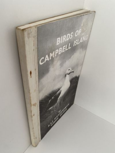 BIRD ISLANDS OF CAMPBELL ISLANDS