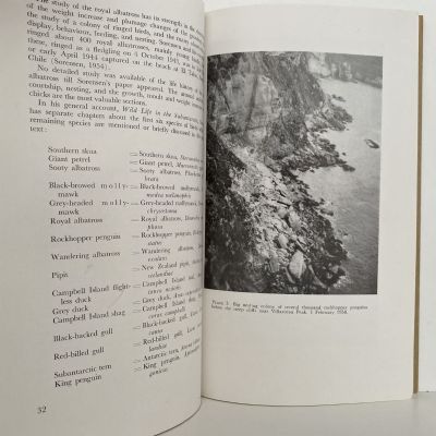 BIRD ISLANDS OF CAMPBELL ISLANDS