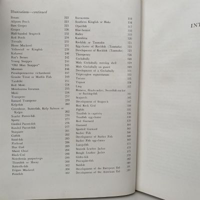A TREASURY OF NEW ZEALAND FISHES