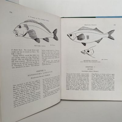 A TREASURY OF NEW ZEALAND FISHES