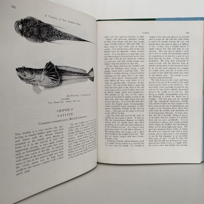 A TREASURY OF NEW ZEALAND FISHES