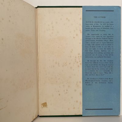 A TREASURY OF NEW ZEALAND FISHES