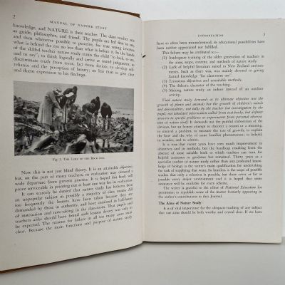 NEW ZEALAND NATURE STUDY