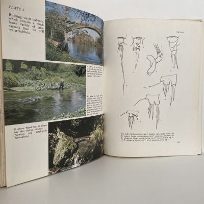 An Introduction to the FRESHWATER CRUSTACEA of New Zealand