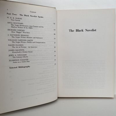 THE BLACK NOVELIST